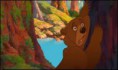/album/imagens-do-filme/tree-jpg/